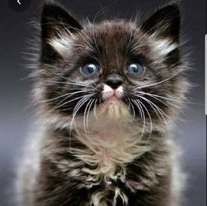 Meet your Posher, Mandy